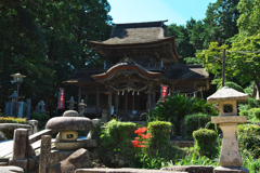彼岸花・９