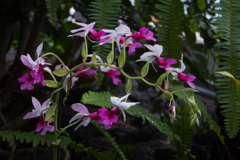 ラン・３１＿４