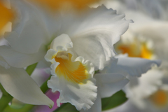 ラン展 in 下関・１０