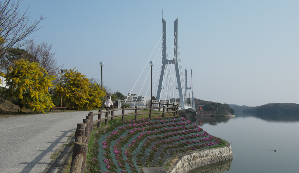 白鳥大橋