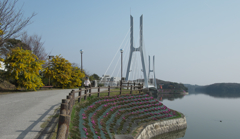 白鳥大橋