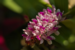 ラン展 in 下関・１４