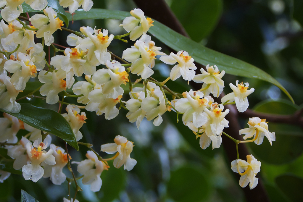 ラン・３１＿７