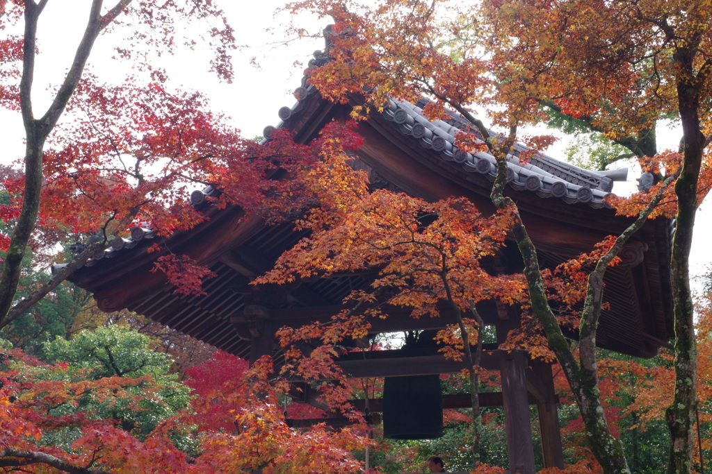 金閣寺2