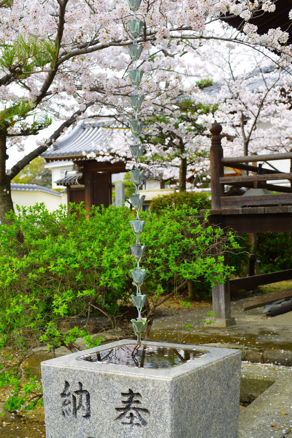 鎖樋