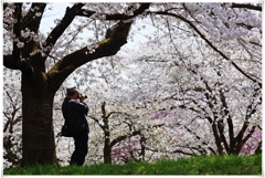 Cameraman