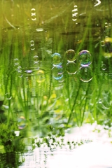 Crystal