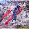 桜の川を泳ぐ