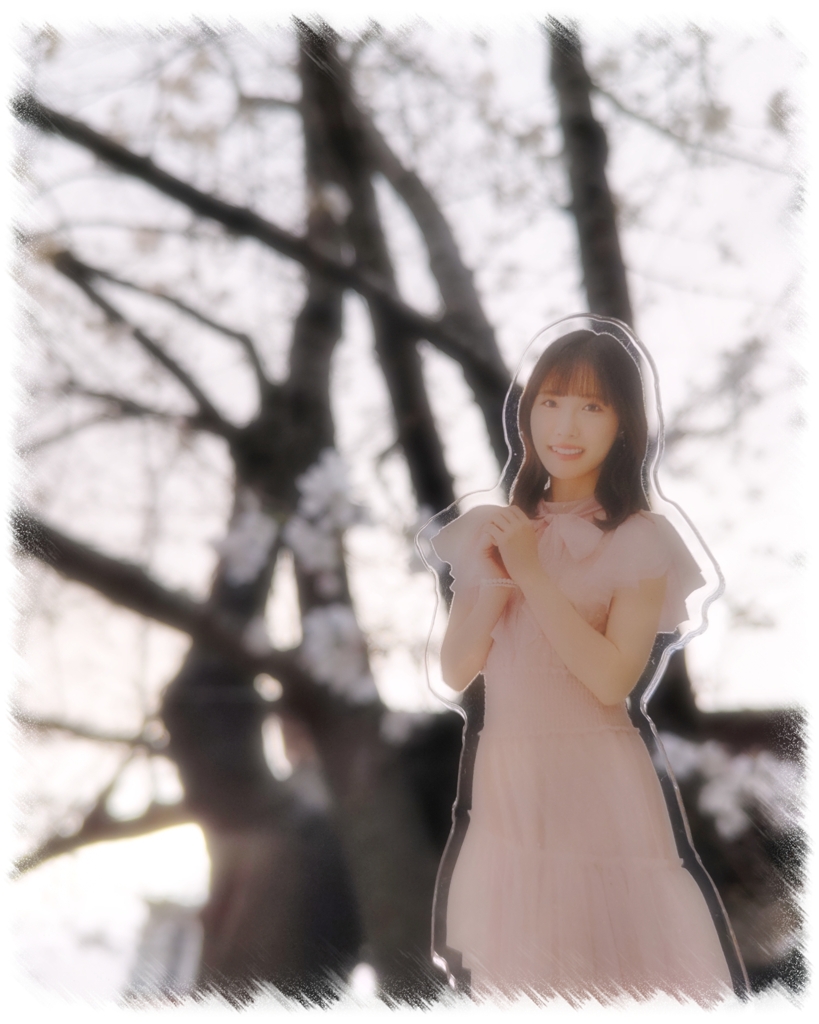 Sakura!