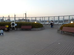 夕陽