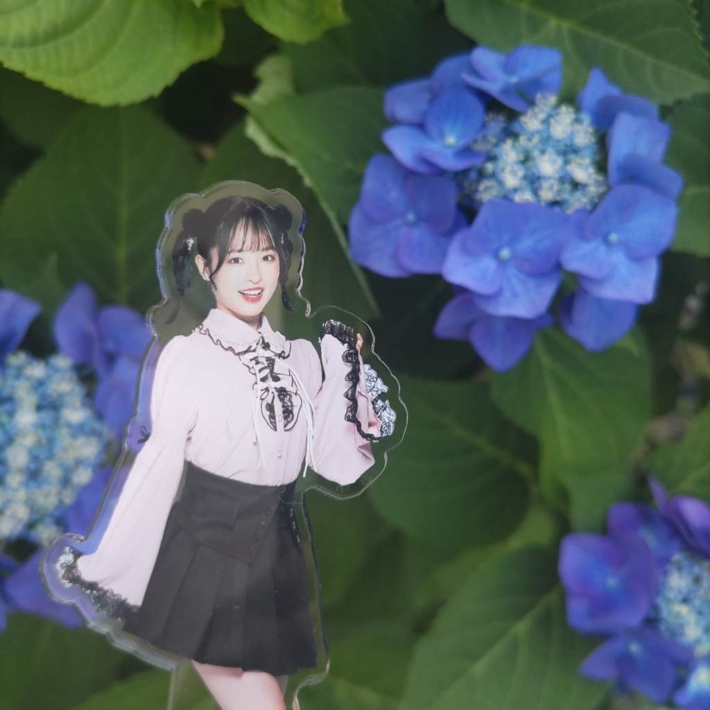 Kuma 紫陽花