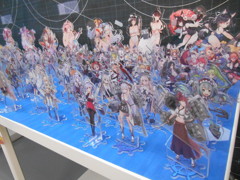 DSCN6605