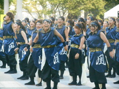 ど真ん中祭