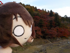 紅葉