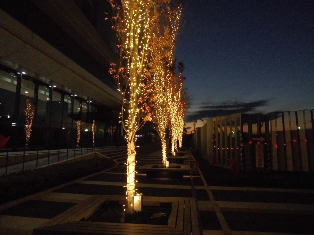 イルミネーション