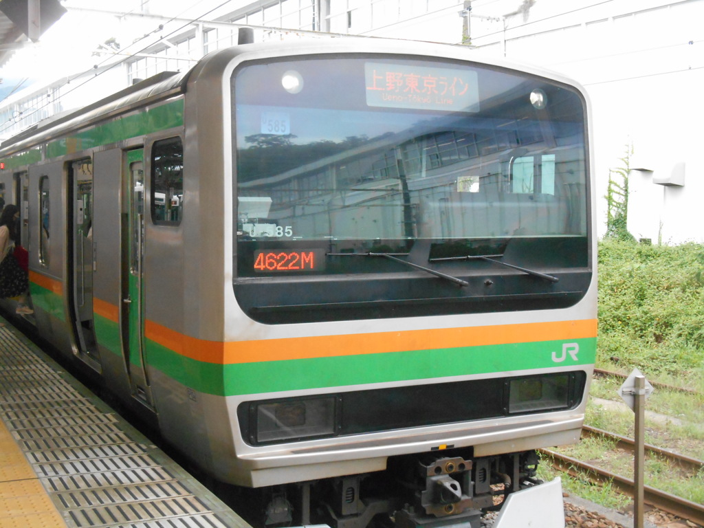 E231