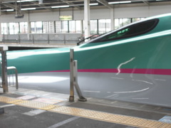 E5系U5編成 やまびこ51号 横顔