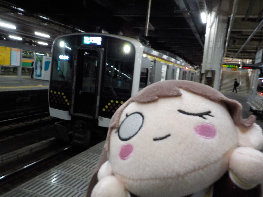E131 Megumi