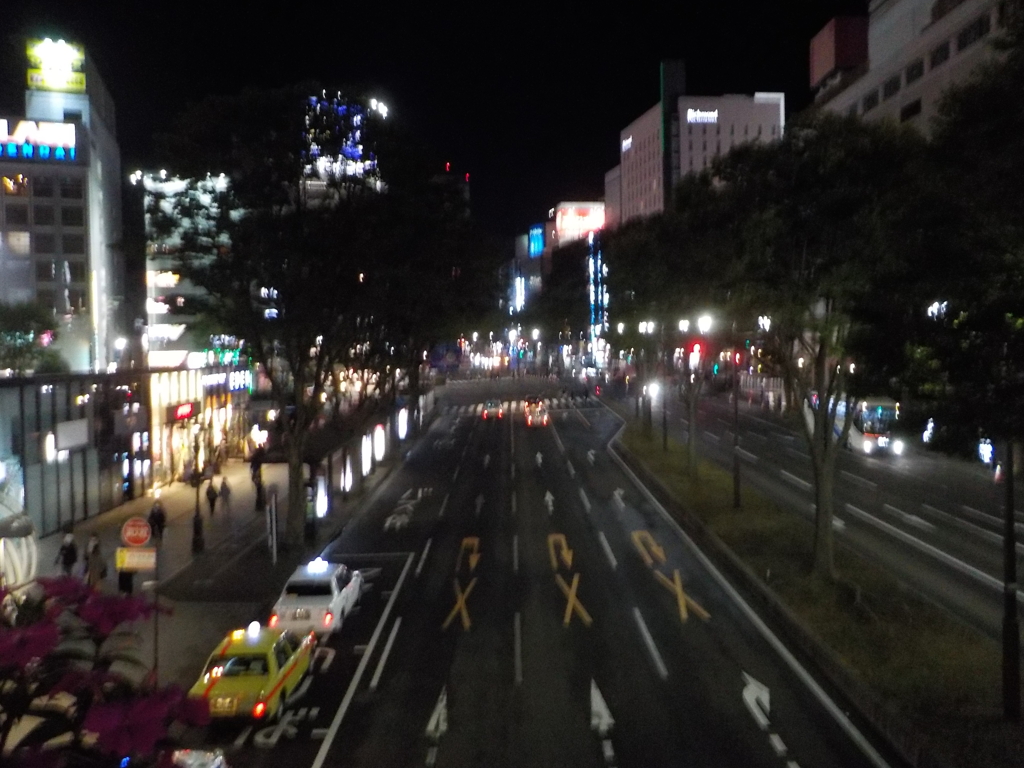 大通り