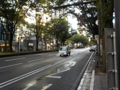 大通り