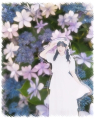 Sakura - 紫陽花
