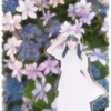 Sakura - 紫陽花