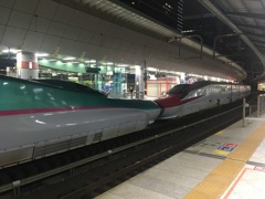 U29