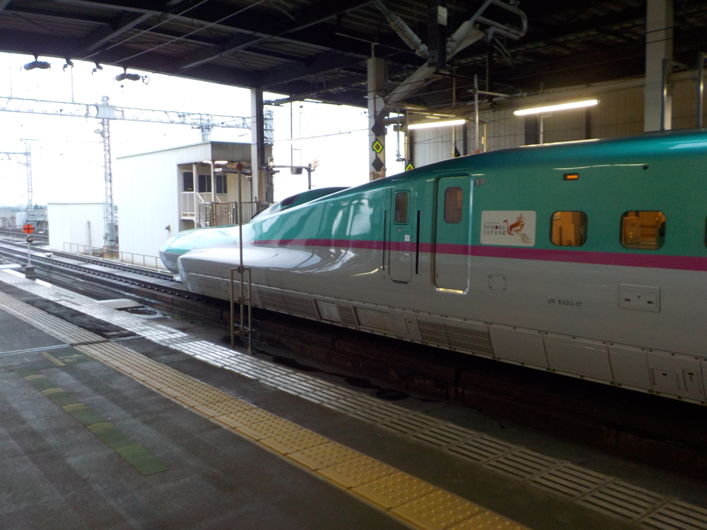 U17