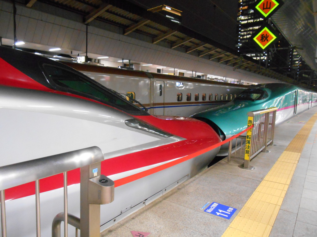 E5系U2編成+E6系Z7編成 なすの273号