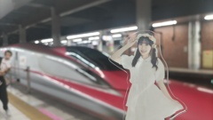 Z14