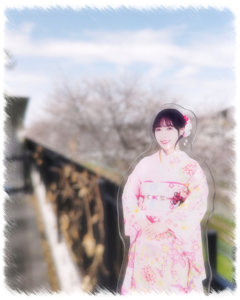 桜並木