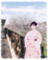 桜並木