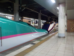 U31+L69