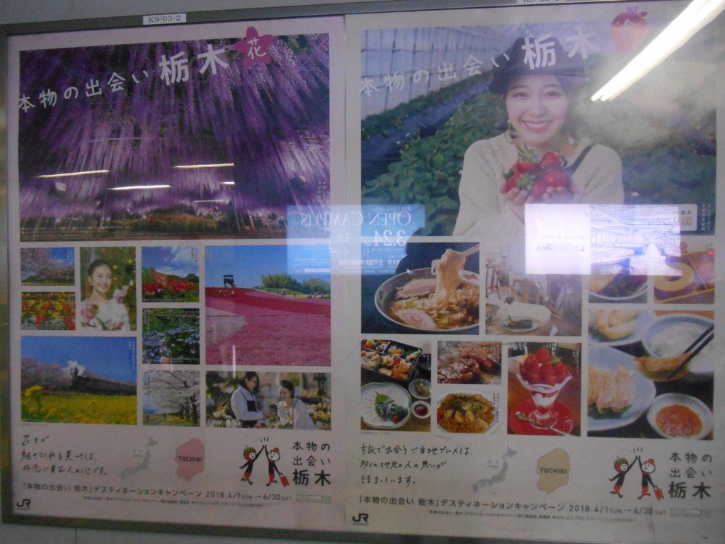 栃木魅力ポスター