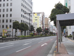 宇都宮市街地