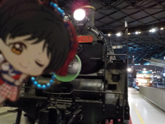 D51