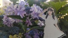 紫陽花
