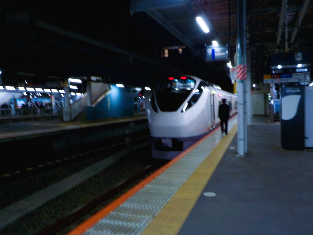 DSCN8979