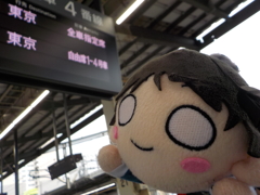 恋ちゃん