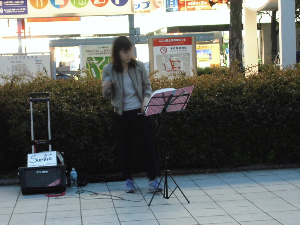 すみれ-1