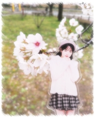 桜