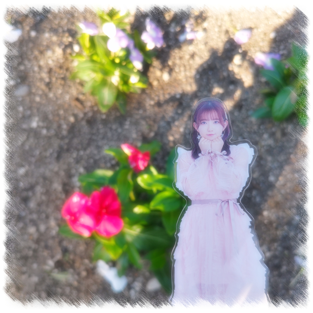 わたあめカメラ_20250604_171329