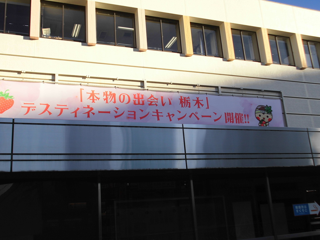 とちまる