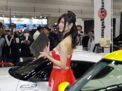 NAT美女