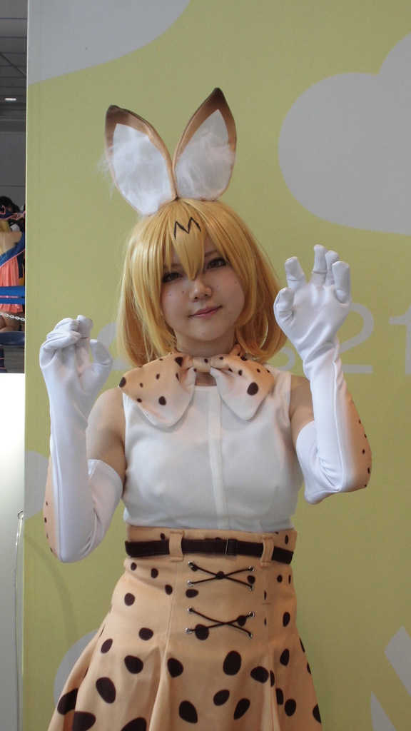 これがけものフレンズ