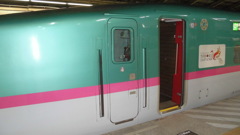 E5系U7編成 なすの273号