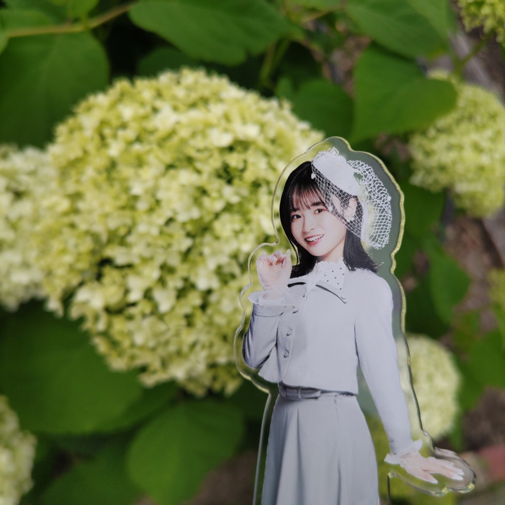 紫陽花