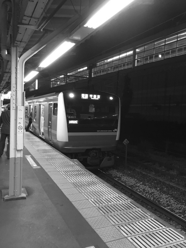 E233系3000番台 熱海駅 (モノクロ)