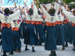 ど真ん中祭