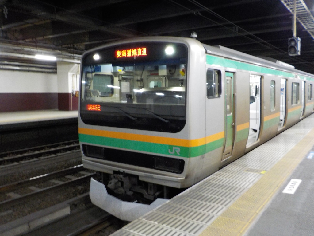 E231